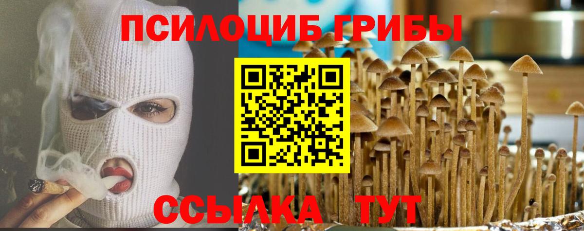 Псилоцибиновые грибы Psilocybine cubensis Сарапул